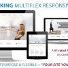 Striking – MultiFlex ; Ecommerce Responsive WP Theme