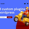 build custom plugins for wordpress