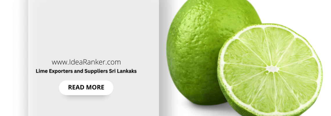 Lime Exporters and Suppliers Sri Lanka