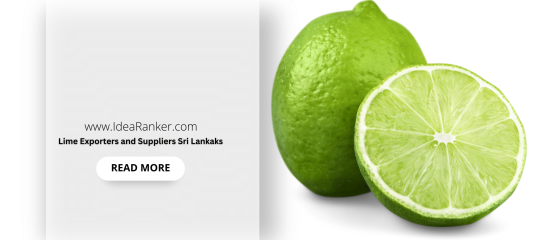 Lime Exporters and Suppliers Sri Lanka