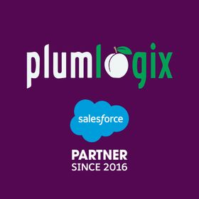 Mobile Application Development Services Plumlogix